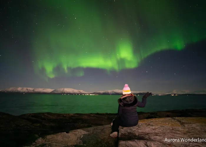 Countryside Tromso- Cozy Glass- Roof Cabins- Aurora Wonderland