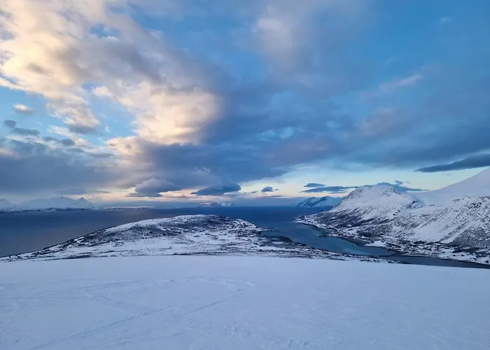 Countryside Tromso- Cozy Glass- Roof Cabins- Aurora Wonderland