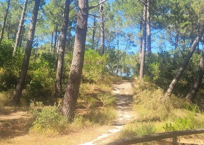 Bungalow Tout Confort 6 Places Au Calme, Proche Ocean Et Lac