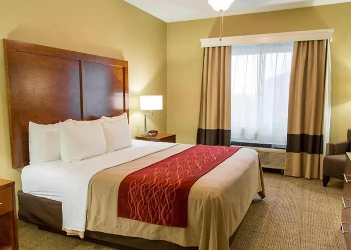 Comfort Inn DFW Airport North