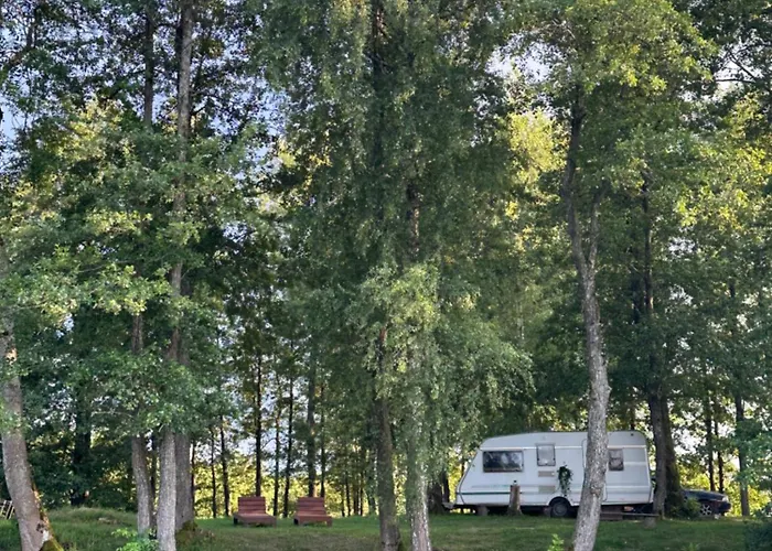 Glamp Juodis