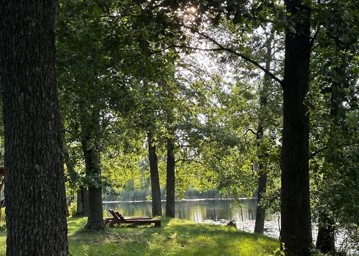 Glamp Juodis