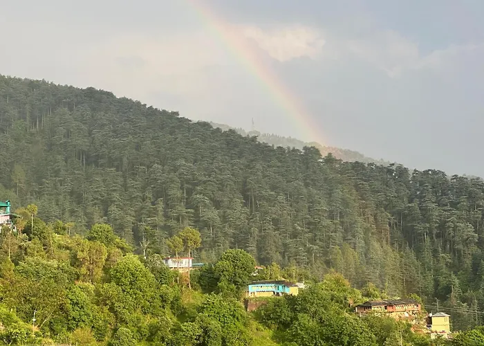 The Chail Pine Orchard Resort