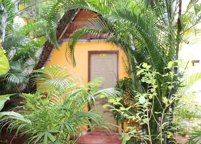 Pv Resort - Auro Beach