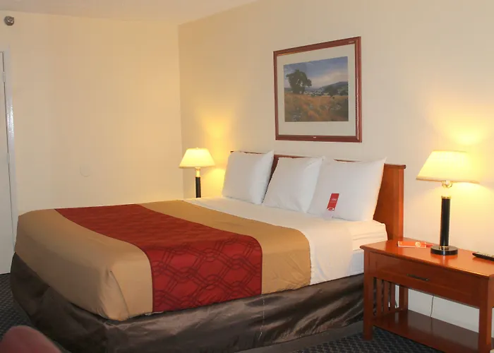 Knights Inn College Station