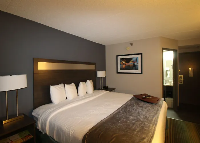 Best Western O'Hare/Elk Grove Hotel