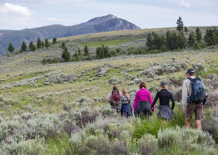White Buffalo Hotel