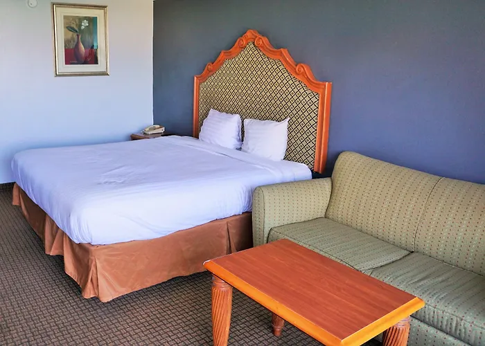 Hotel Elev8