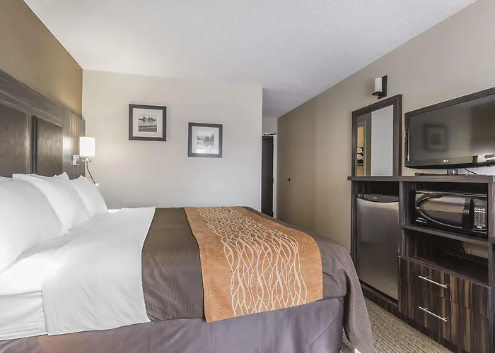 Comfort Inn Trenton