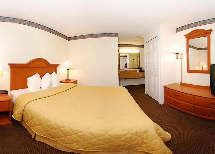 Quality Inn & Suites Mt Dora North