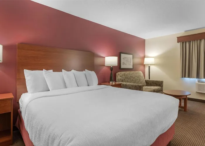 Surestay Plus Hotel By Best Western Litchfield