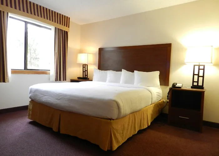 Ashmore Inn And Suites Lubbock
