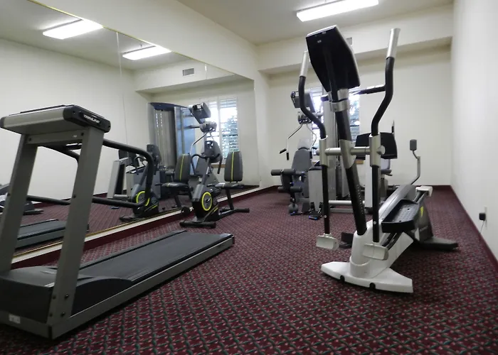 Ashmore Inn And Suites Lubbock