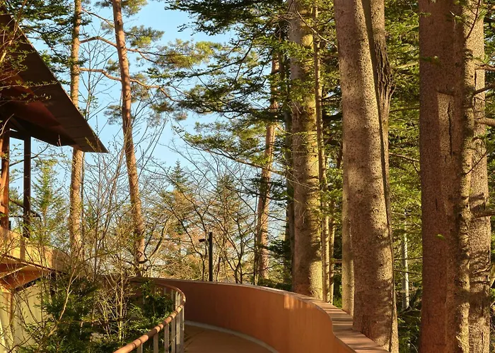 Shishi-Iwa House Karuizawa