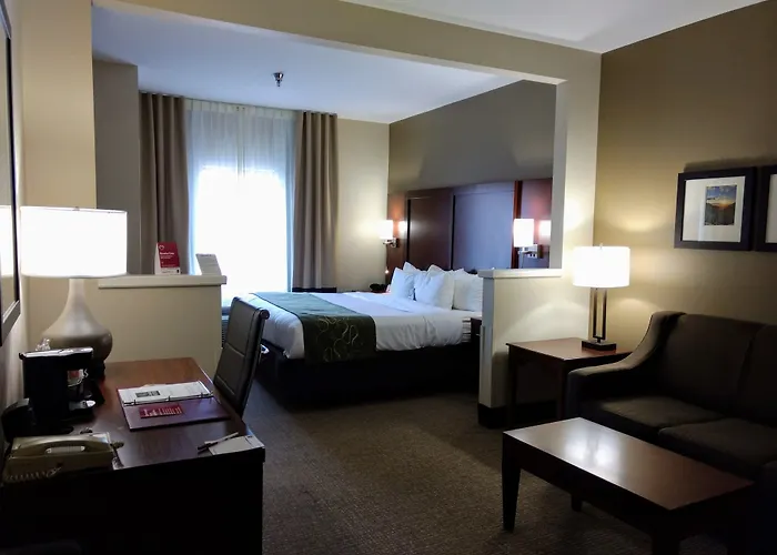 Comfort Suites Johnson City Near University