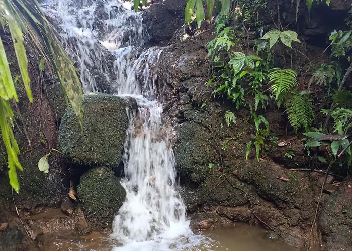 Chava Lodge On Tenorio Rio Celeste