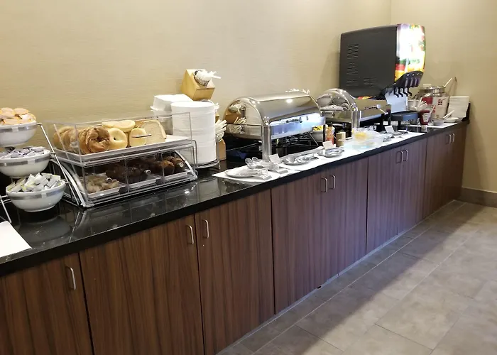 Comfort Inn & Suites North Dallas-Addison