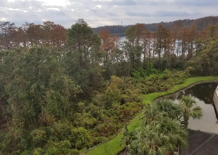 Homewood Suites By Hilton Orlando Maitland