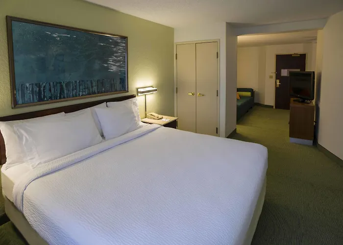 Springhill Suites By Marriott Chicago Bolingbrook