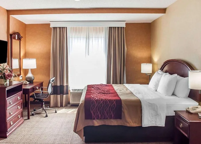 Quality Inn Near Walden Galleria Mall