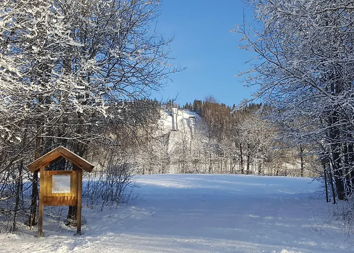 Birkebeineren Hotel & Apartments