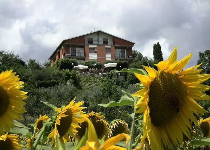 Hotel Sangallo B&B-Panoramic Position-Valley And Vineyard View-Family Run