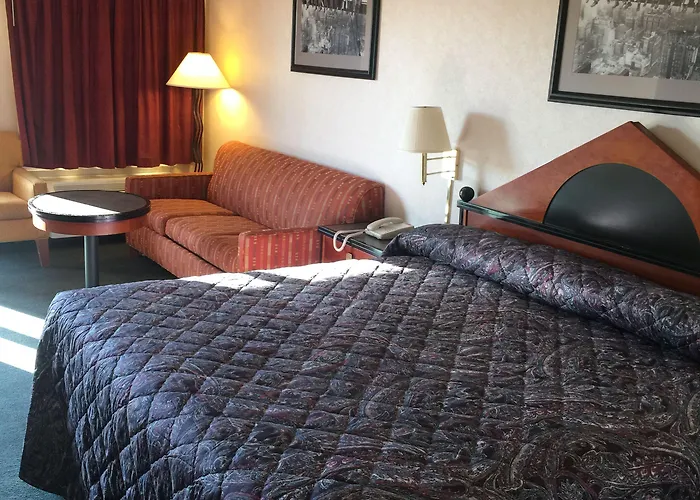 Shelaine Inn