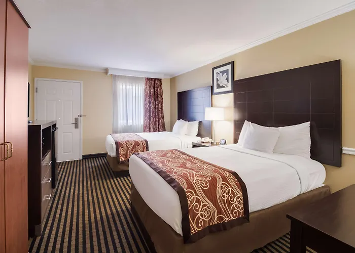 Best Western - Mckenzie