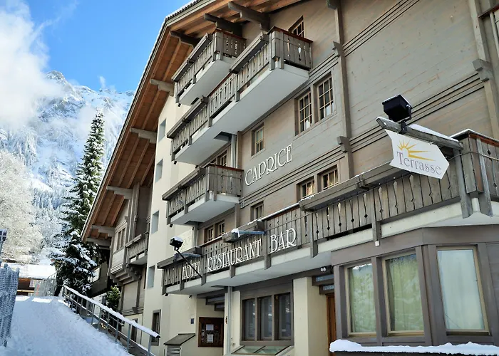 Hotel Maya Caprice