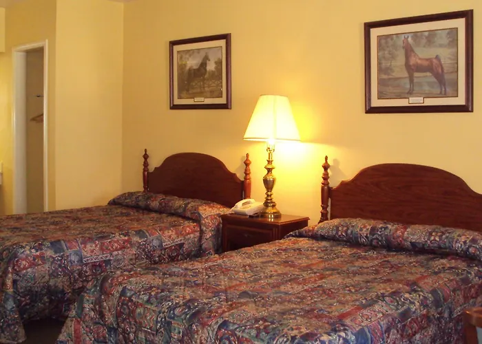 Executive Inn