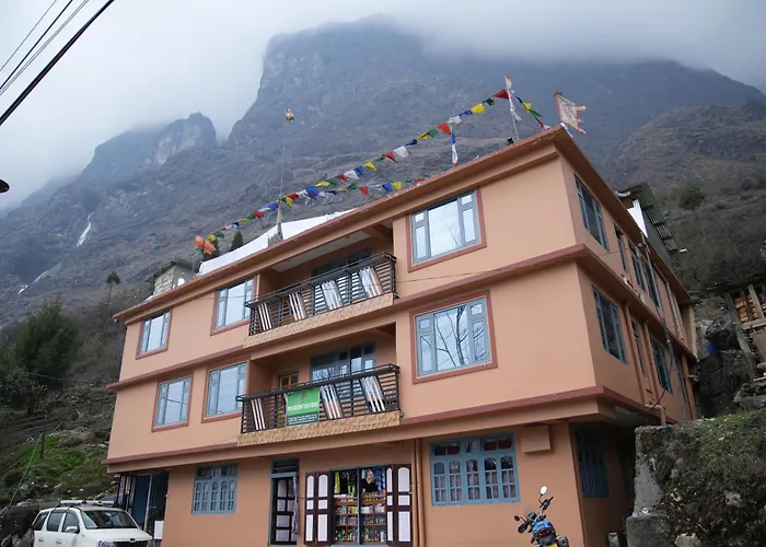 Om Green Tortoise Lachung