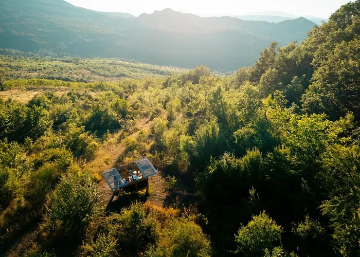 Wild Orchard Farm