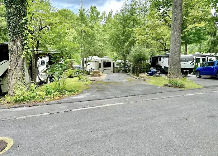 Crofty Bear - Empty Rv Camping Lot In Gatlinburg