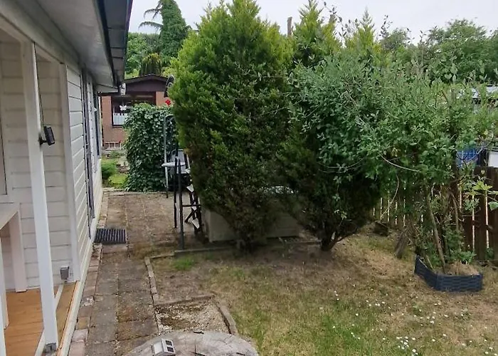 Tiny House Op Een Volkstuinverenging