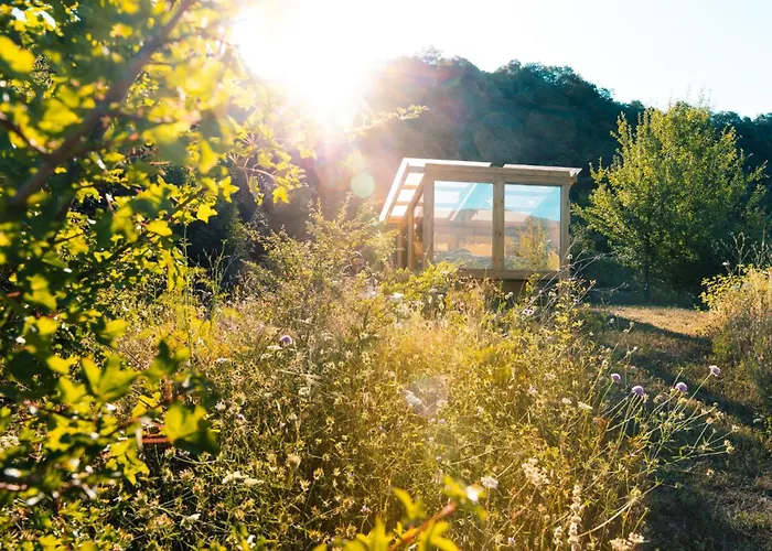 Wild Orchard Farm