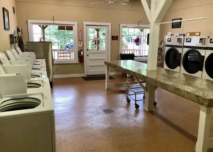 Crofty Bear - Empty Rv Camping Lot In Gatlinburg