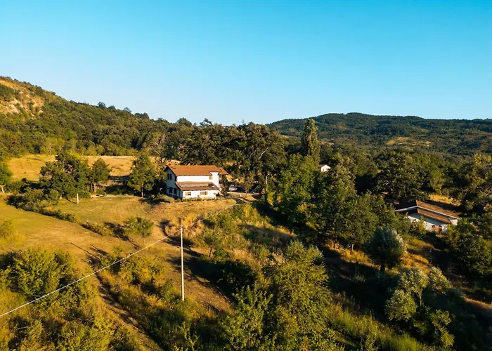 Wild Orchard Farm