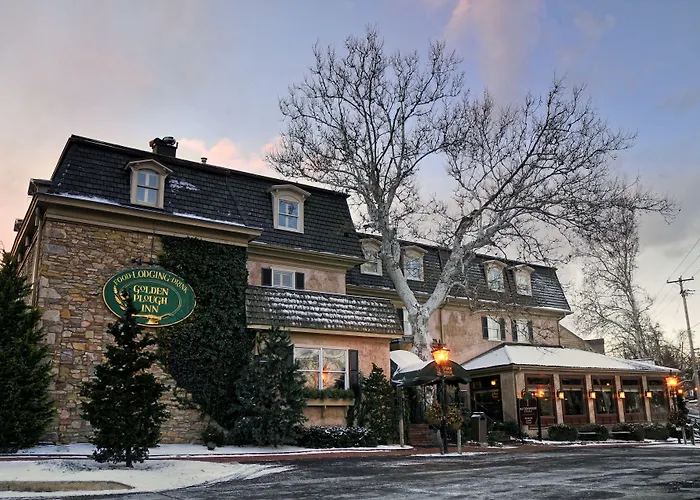 Golden Plough Inn