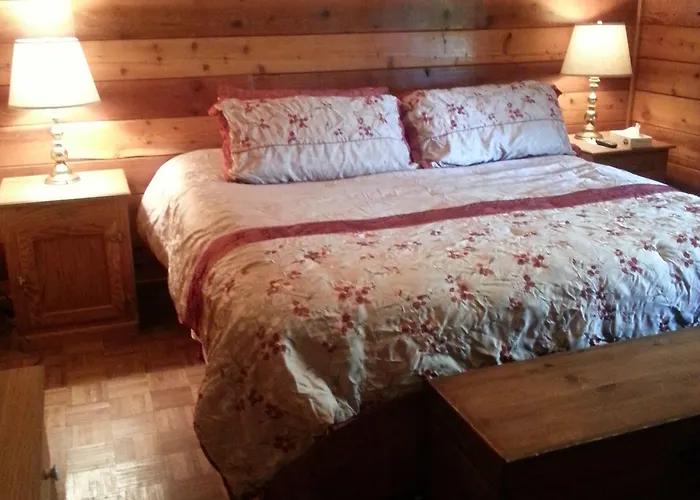 Carolina Motel
