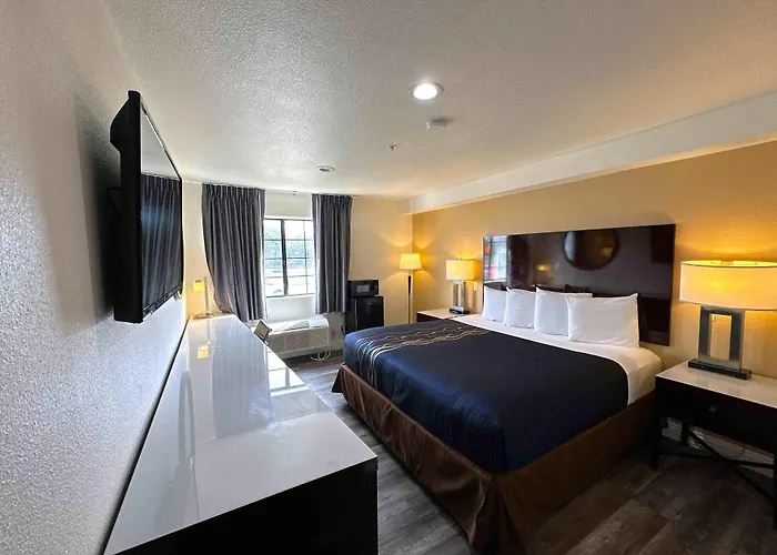 Vista Inn