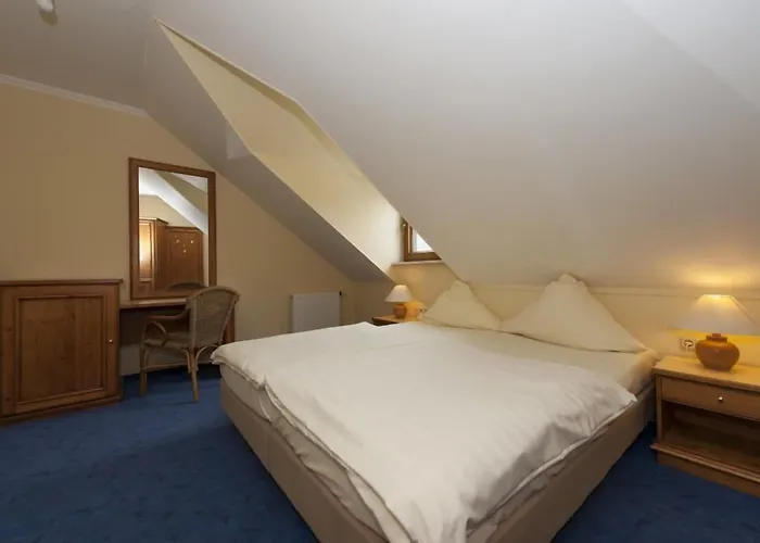 Logis Hotel-Restaurant Petry