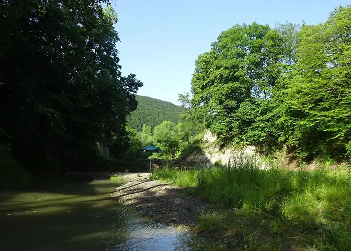 Sadyba Zatyshna