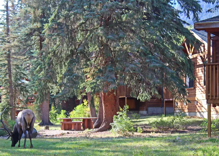 The Evergreens On Fall River