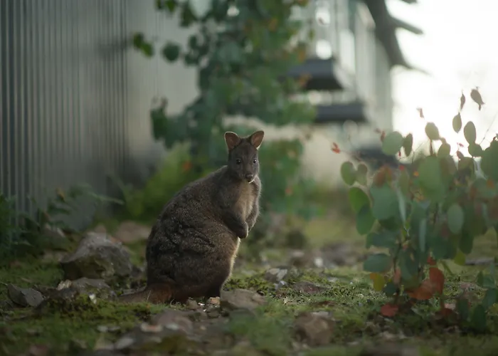 Cradle Mountain Hotel