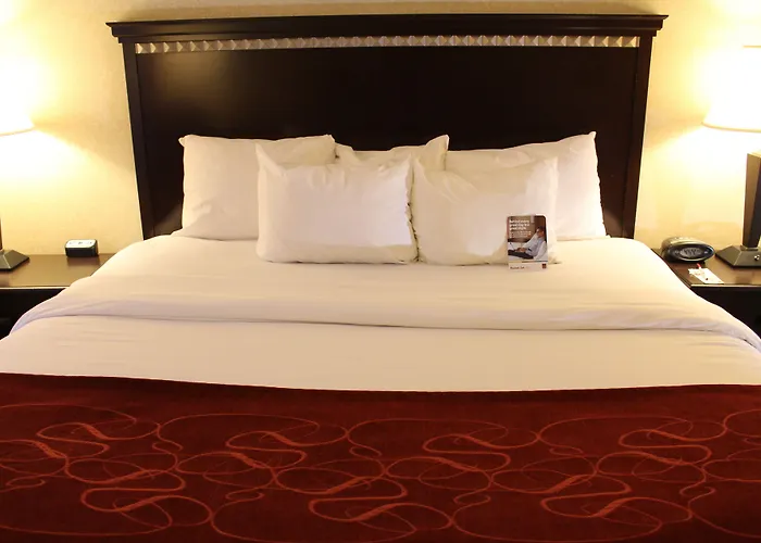 Comfort Suites Canton - Detroit