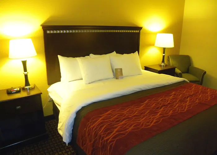 Comfort Inn & Suites Regional Medical Center