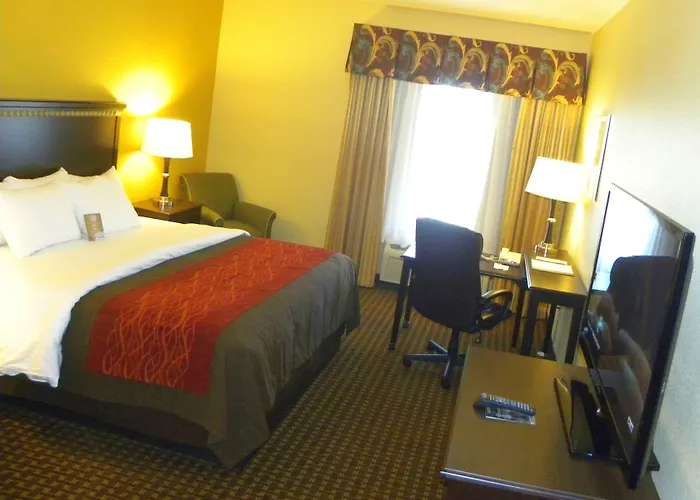 Comfort Inn & Suites Regional Medical Center