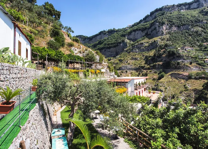 Fico D'India Relais