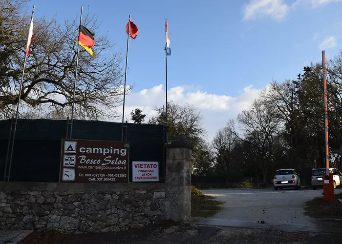 Villaggio Camping Bosco Selva
