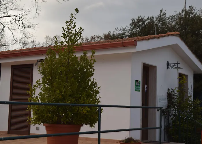 Villaggio Camping Bosco Selva